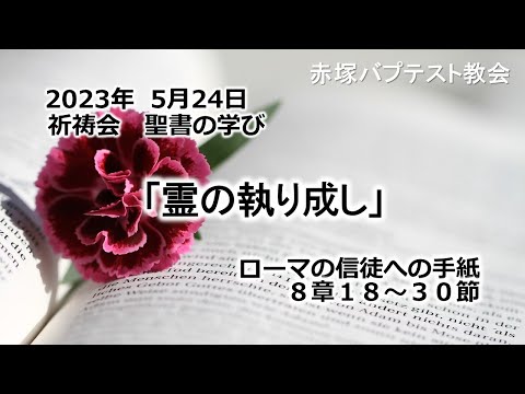 2023年5月24日(水)赤塚教会祈祷会　聖書の学び「霊の執り成し」ローマの信徒への手紙8章18～30節