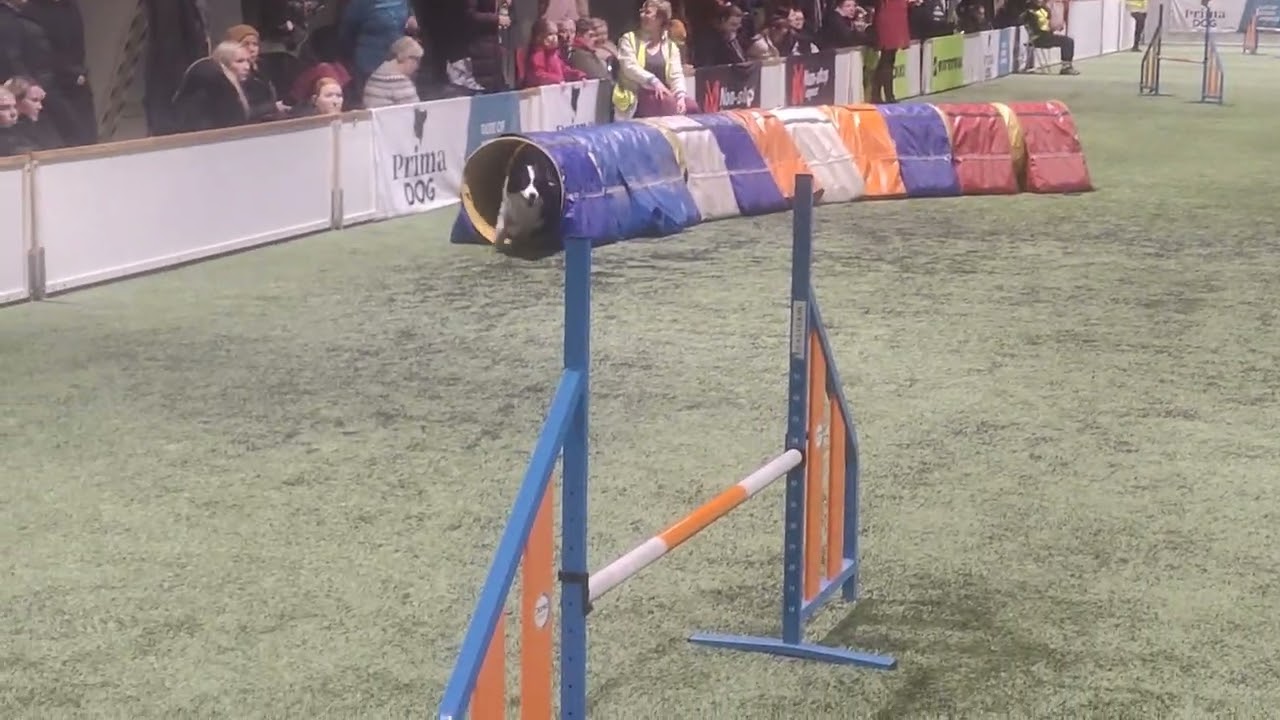 -26 maajoukkoekarsinnat osa 1 & etkot 