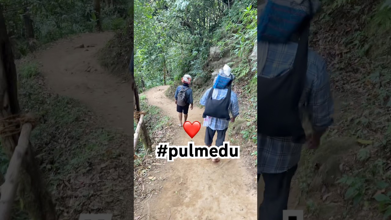 Sannidhanam via Pulmedu 🙏 | Sacred Steps to Ayyappa