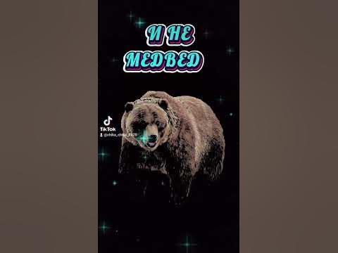 Самое опасное животное 🐊🐅🐻🐸 - YouTube