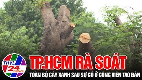 TP.HCM rà soát toàn bộ cây xanh sau sự cố ở Công viên Tao Đàn