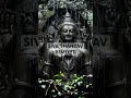 Siva thandav remixed
