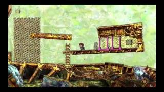 Braid World 5 Stage 7 Fragile Companion