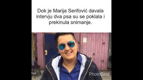 Intervju Marije Šerifović prekinut zbog tuče pasa