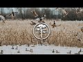 Duck Hunting- Duck Food Plots and Managing Duck Property