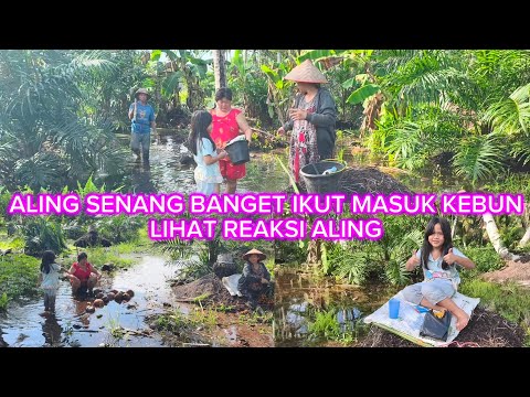 LIHAT KESERUAN KITA MASUK KEBUN  AMBIL PINANG DAN HABIS TANAMAN NOVI TERENDAM AIR