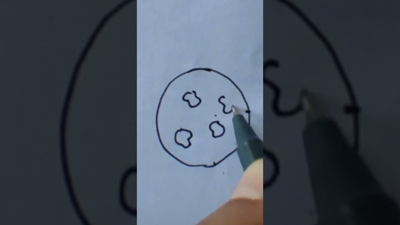 How to draw a cookies easy drawing 
