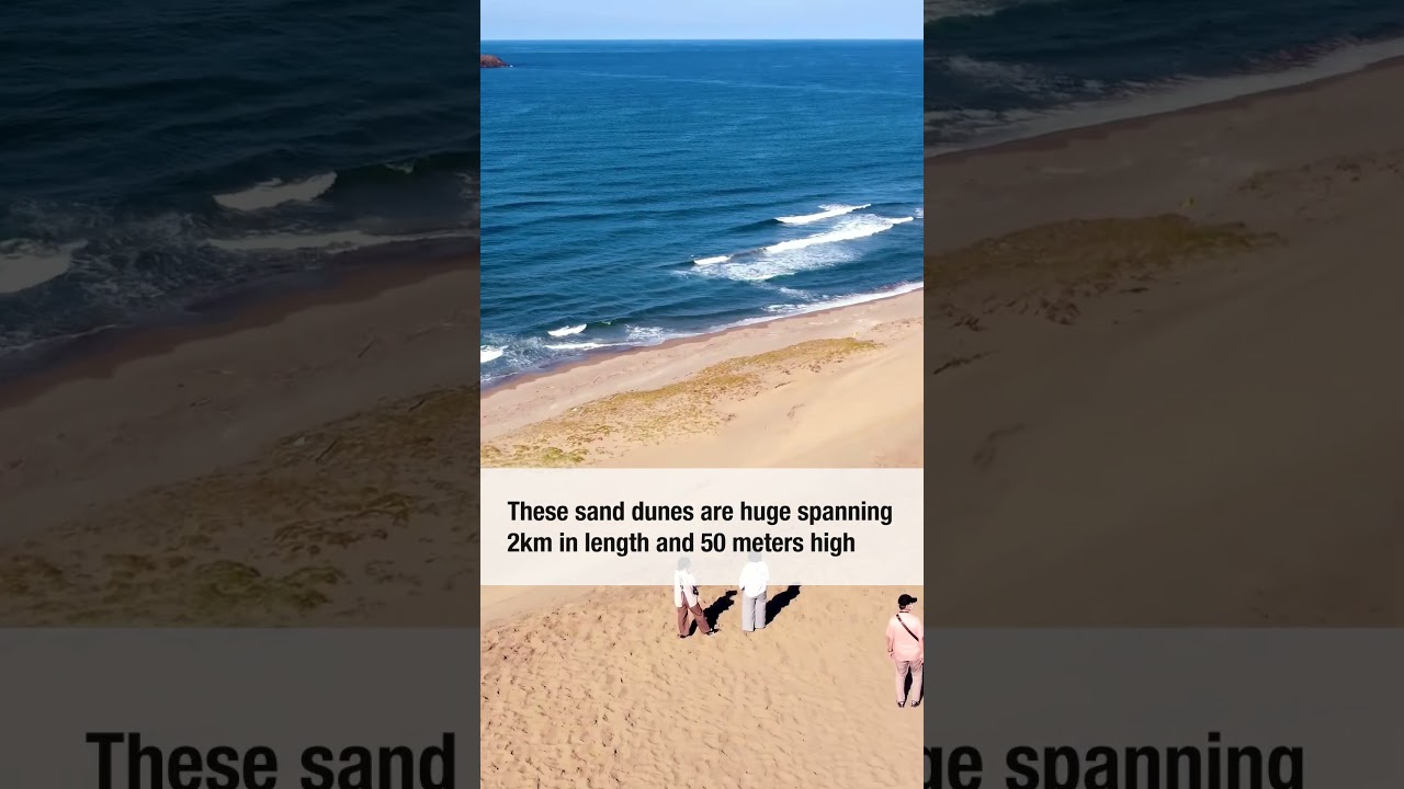 Tottori: Sand Dunes and Camels in Japan?!