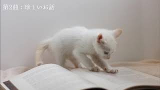 シューマン: 子供の情景：見知らぬ国より&珍しいお話［ナクソス・クラシック・キュレーション #かわいい］