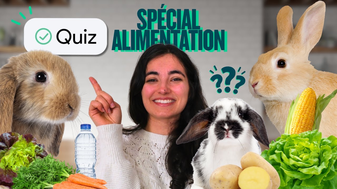 Je parie que tu n'auras pas tout juste 😏 QUIZ spécial ALIMENTATION des LAPINS🐰