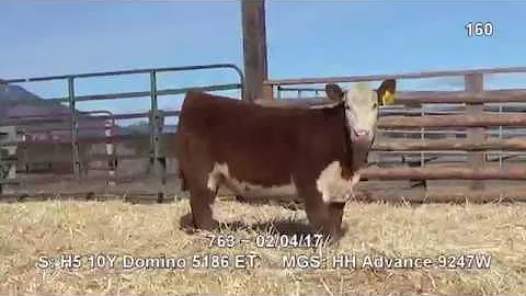 YT Lot 160 ~ H5 MS 5186 Domet 763