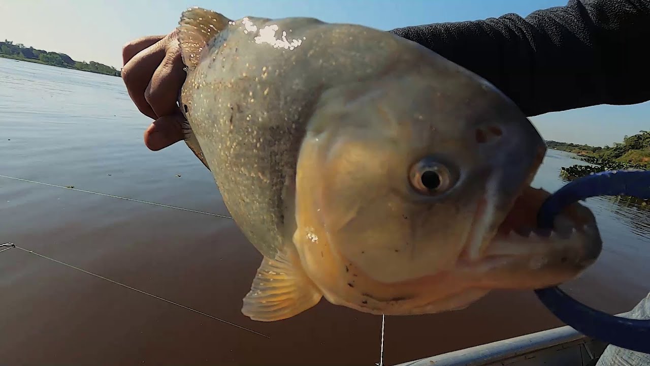 2 DIAS DE PESCA, Boca del rio he' ẽ ,PARAGUAY