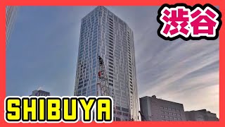 4K Tokyo Cityscape Shibuya Night Walk 東京 渋谷 夕方 散歩 DjiPocket2