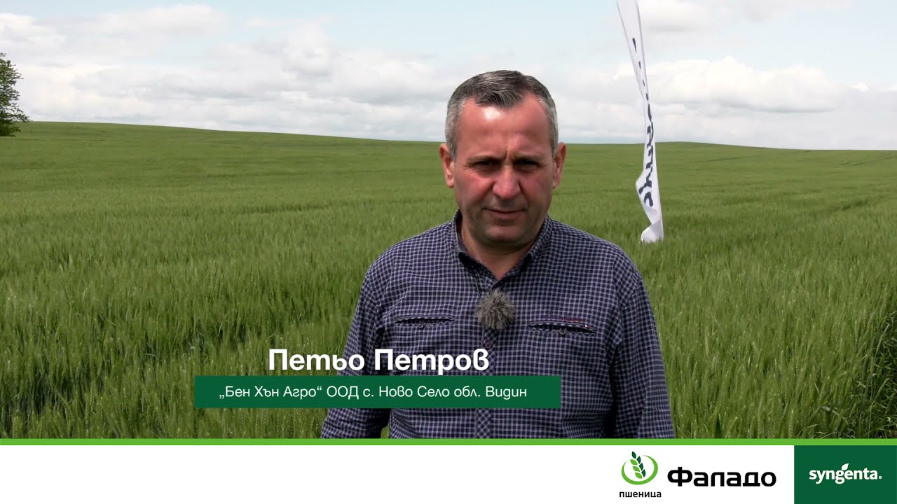 Фаладо в стопанството на Бен Хън Агро