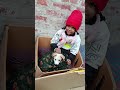 Cute pappi #song #hindisong #dogs