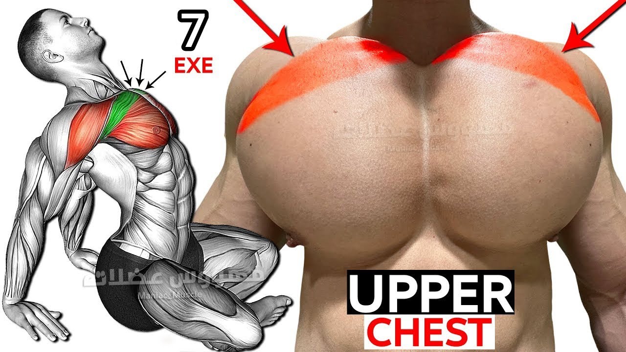 7 (IDEAL EXERCISES) to Increase the Size of the Upper Chest Muscle