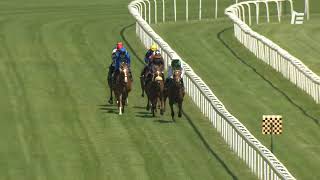 Vidéo de la course PMU PRIX PHILIPPE ET EMMANUEL TASSIN