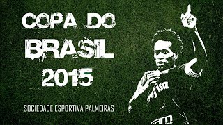 Copa do Brasil 2015 - Melhores Momentos do Palmeiras (Do 1º jogo até a Grande Final)