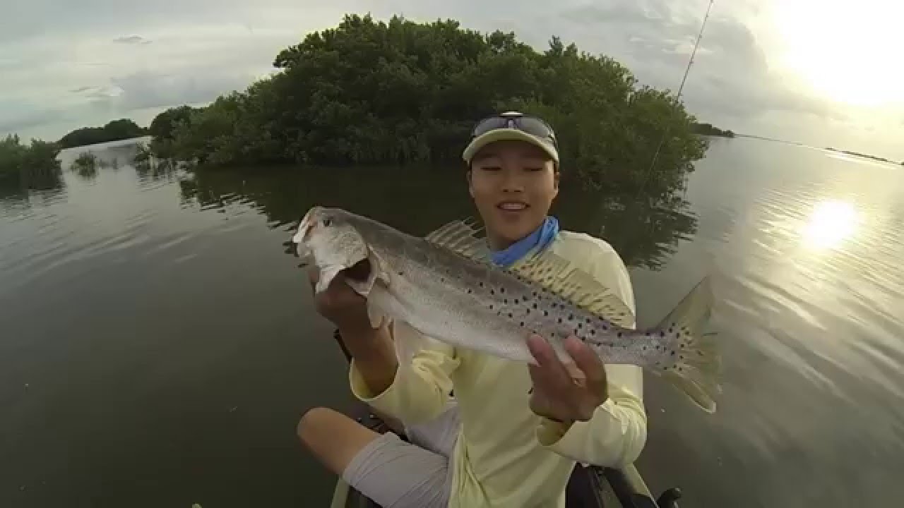 Kayak fishing Cedar Key hobie pro angler 12 YouTube