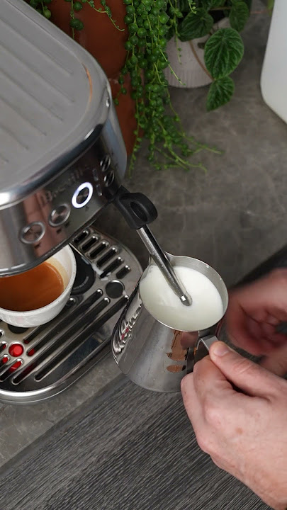 How to steam milk on a home machine #barista #coffee #goldenbrowncoffee  #espresso #steaming #milk 