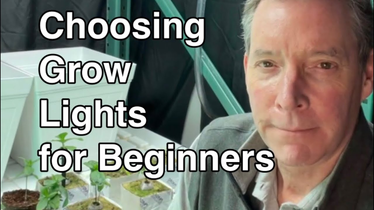 Tips for Choosing Grow Lights