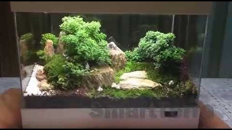 SmartTerra Alpha Prototype