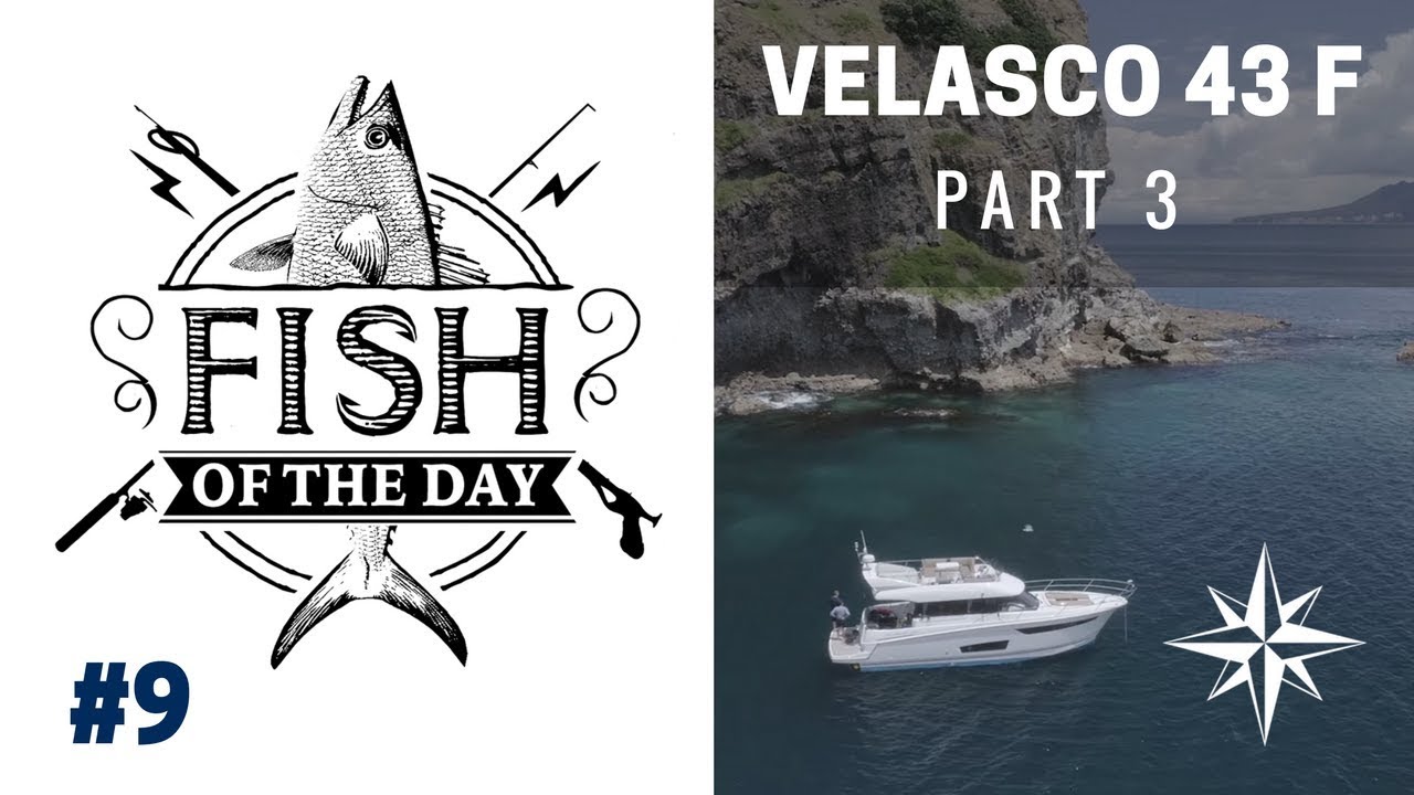 FISH OF THE DAY #9 • À bord du Velasco 43F (part.3)