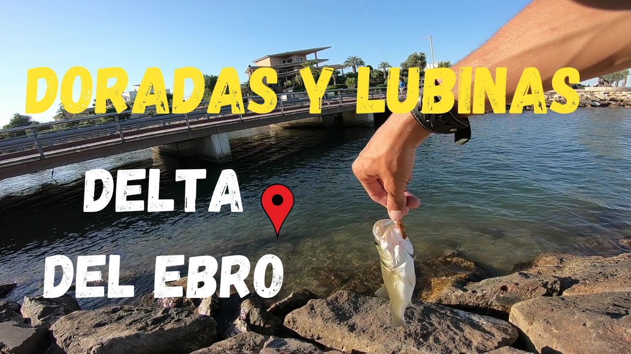 Pesca LIGHT GAME || DORADAS, LUBINAS || Delta del Ebro || Travel Vlog 8