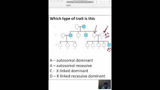 Which type of trait is this A – autosomal dominant B – autosomal recessiveC -  X linked dominant