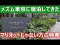 メズム東京オートグラフコレクションに宿泊。JRE POINTステージ&株主優待でどうなる?