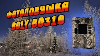 BOLY BG310 стоит ли покупать эту фотоловушку?