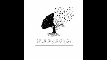 حتى إذا أتوا على واد النمل قالت نملة " إسلام صبحي حالات قرآن كريم / Islam sobhi