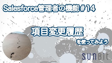 【Salesforce管理者の機能#14】項目変更履歴