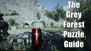Crimson Desert - The Grey Forest Puzzle Guide