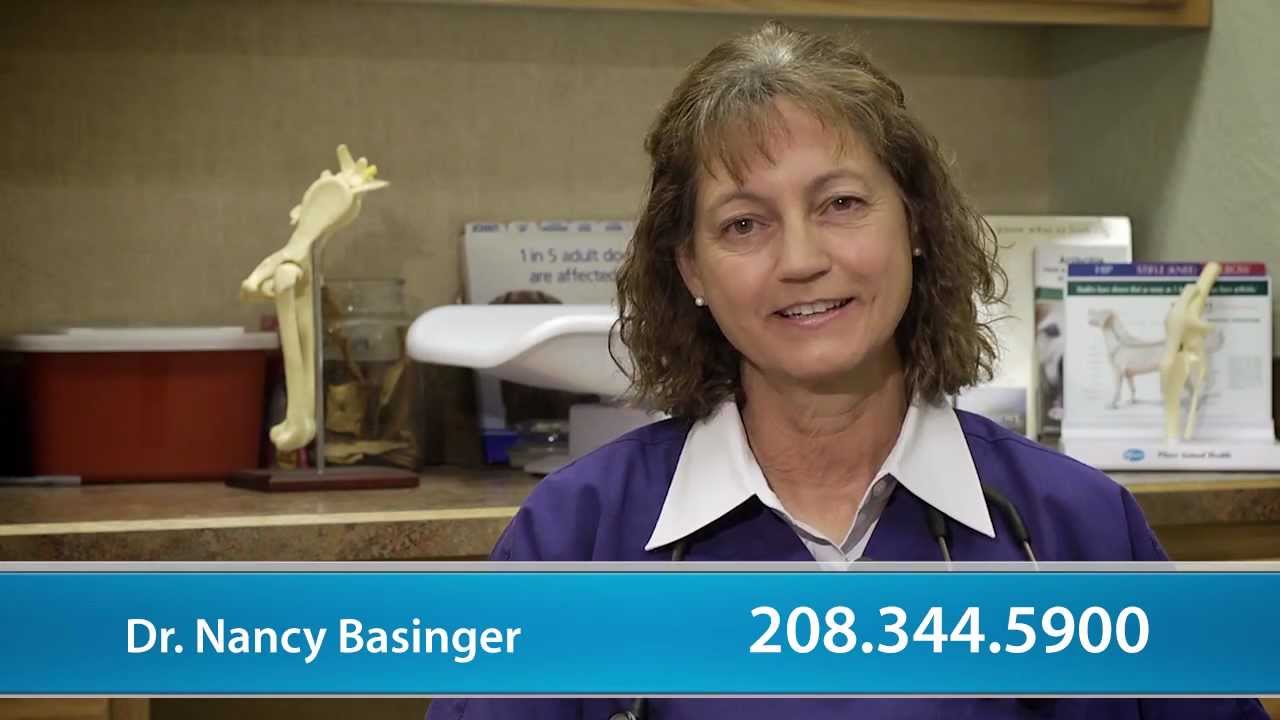 Ada Veterinary Hospital Short Boise, ID YouTube