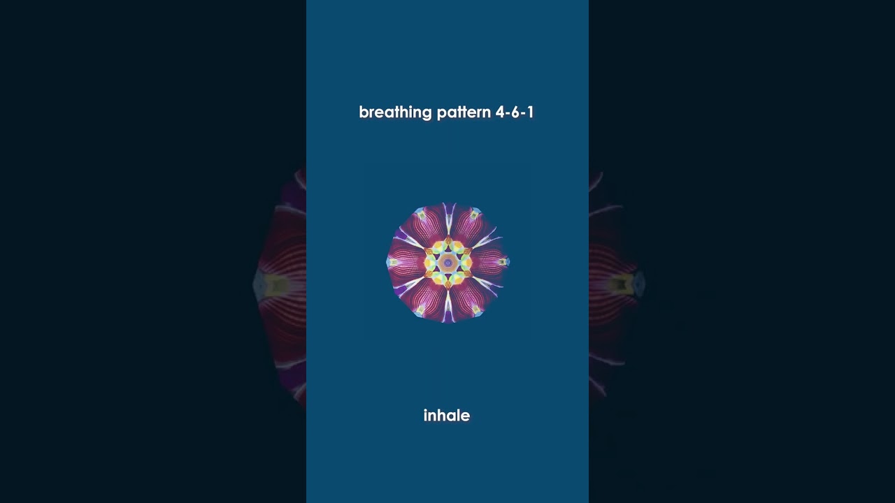 Guided breathwork animation from the StretchFit on demand app