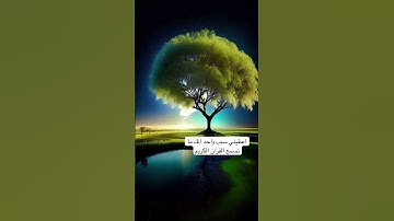 #explore #الاردن #الامارات #القرآن_الكريم #السعودية #الكويت #قطر #quran #ayatul_kursi #سورة_الملك