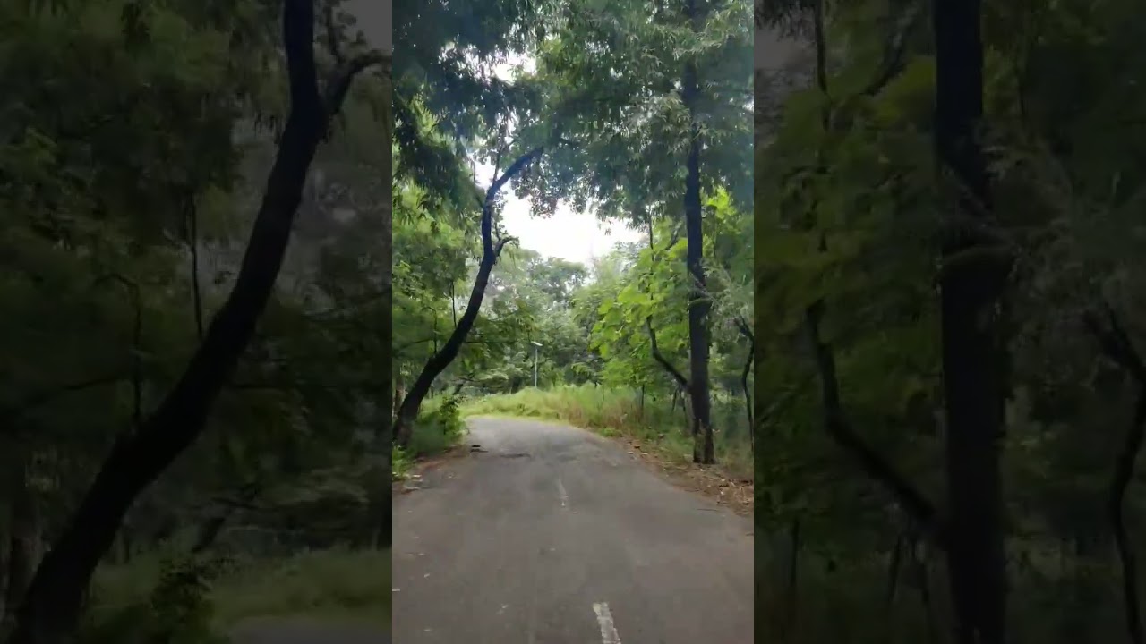 hidden place in gurgaon❣️💫