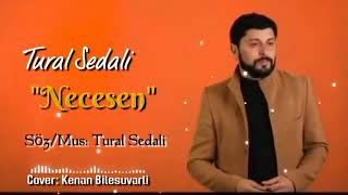 Tural Sedalı - \