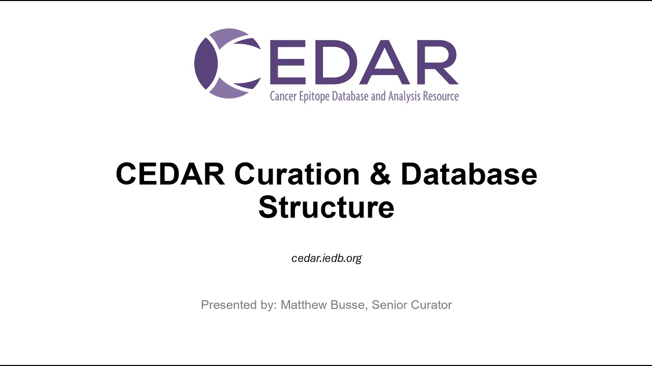 2025 User Workshop – 3.1 – CEDAR Curation & Database Structure - YouTube