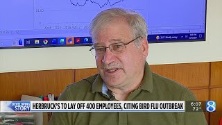 Herbruck’s to lay off 400 employees, citing bird flu outbreak