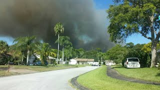 Flames from Port Orange brush fire threatened homes