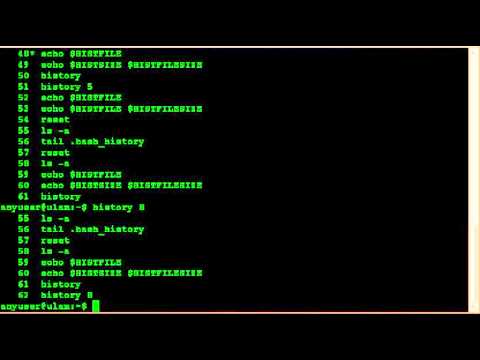 Using the Bash History Feature