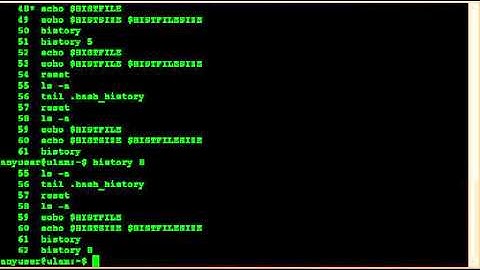 Using the Bash History Feature