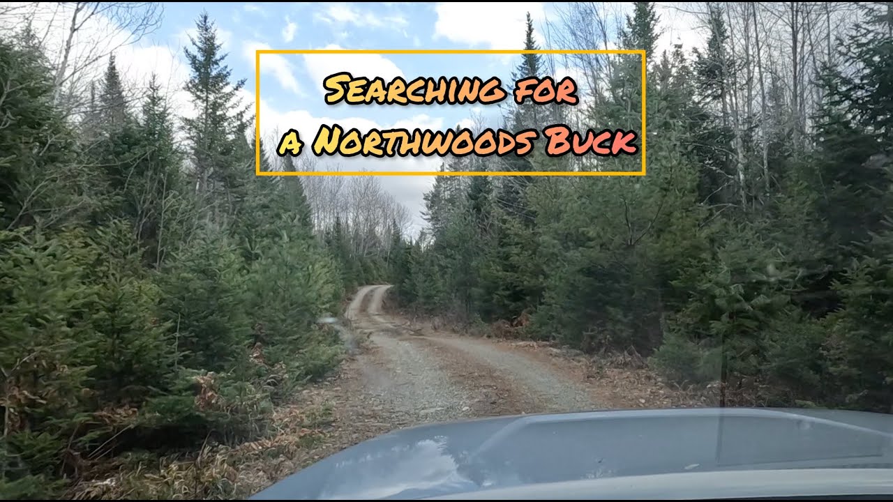 Maine Northwoods Deer Hunting Ep. 2 YouTube
