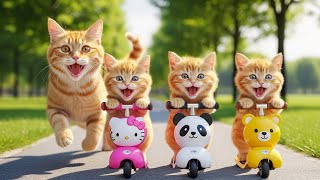 Download Lagu Mama Cat Trims Fur on the Farm and Makes Tiger Hat For Kittens At Home🐾🎩🐯 MP3 Download Lagu Mama Cat Trims Fur on the Farm and Makes Tiger Hat For Kittens At Home🐾🎩🐯 MP3