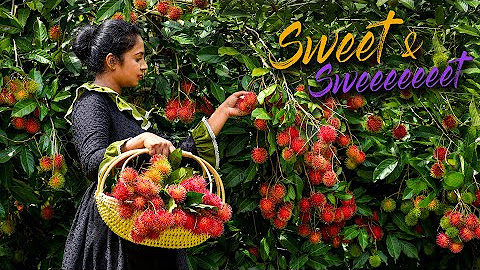 Tropical fruits