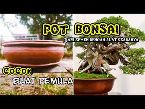 cara-membuat-pot-bonsai-dari-semen