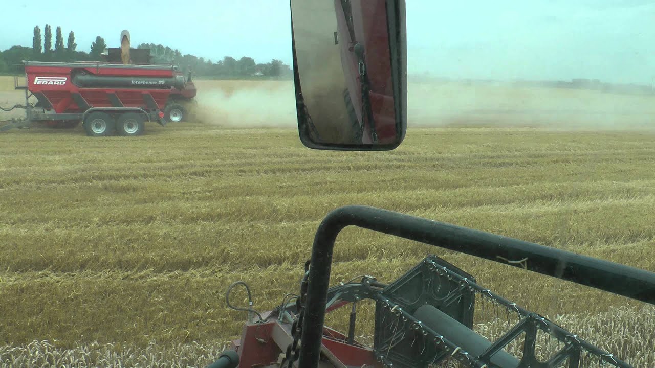 CASE IH 9120 & 9230 COMBINES CUTTING WHEAT IN SUFFOLK 2012 HARVEST U.K