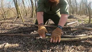 Spring Stroll Through The Woods And Coffee Making Waragod